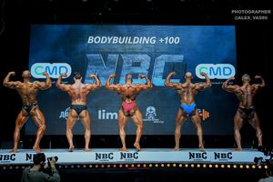 BODYBUILDING +100